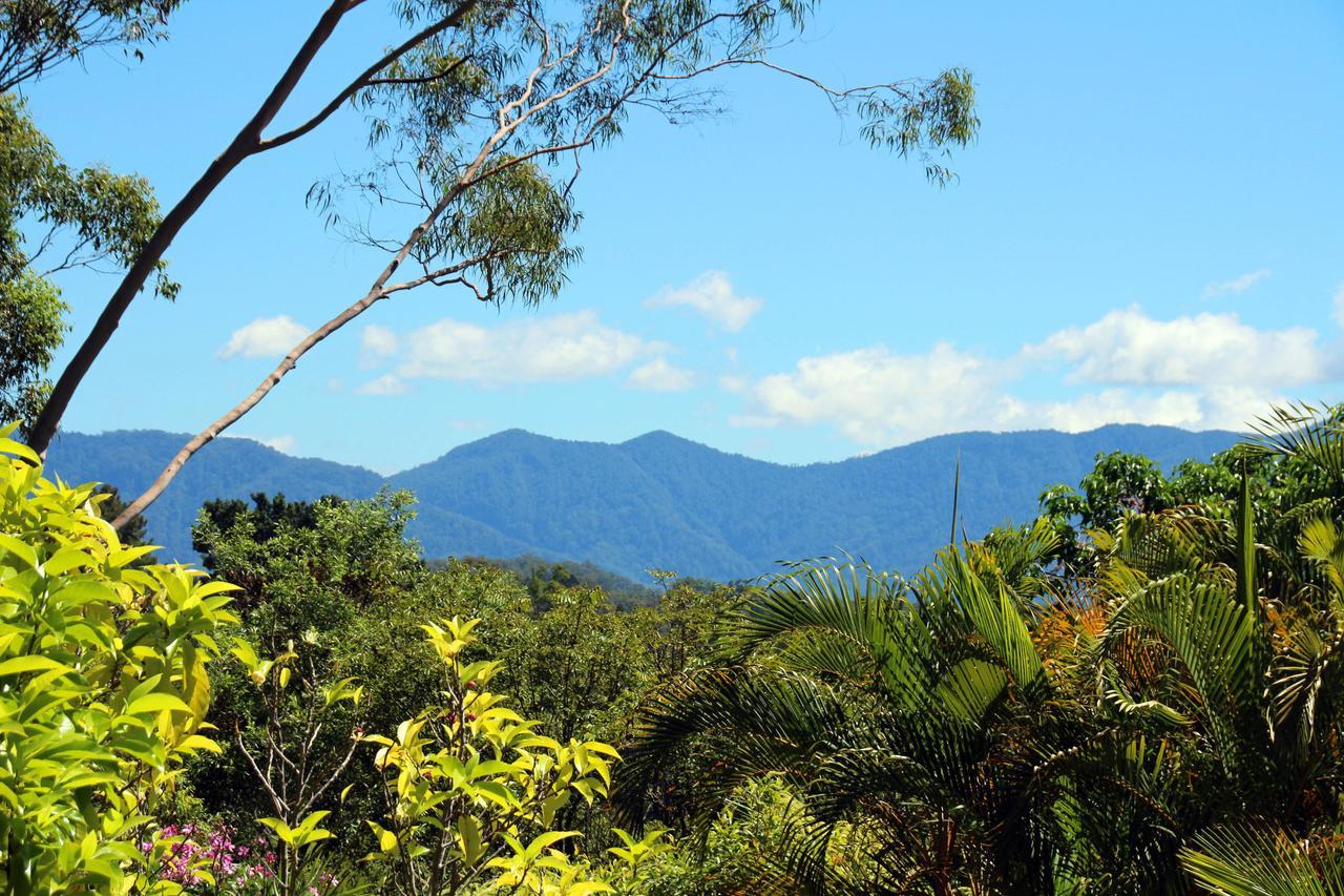 Bella Vista Bellingen Bed & Breakfast Exterior photo